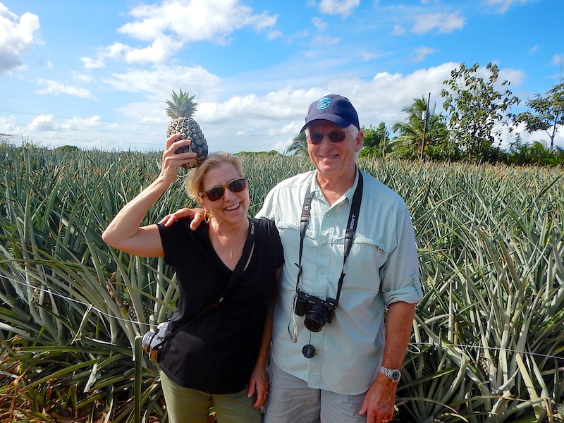 Cara Goldsbury Costa Rica pineapple farm image