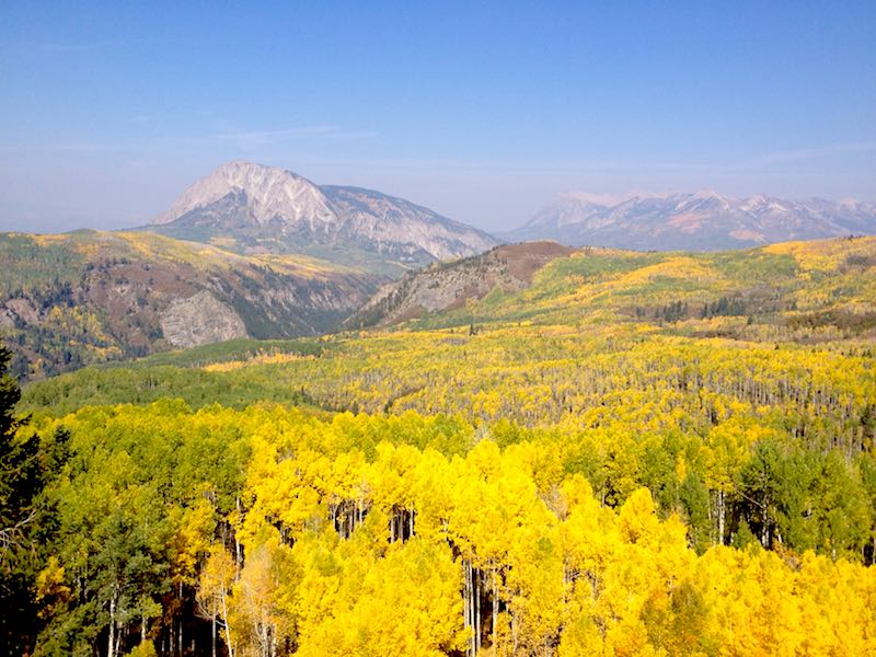 Crested Butte, Co aspen in fall image