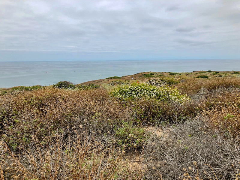 Ritz Carlton Laguna Niguel Dana Point Preserve image