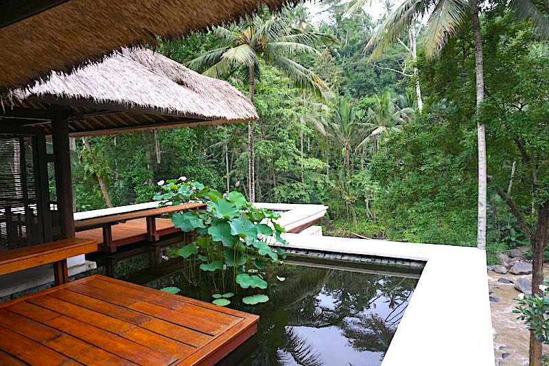 Four Seasons Bali at Sayan Riverfront Villa image