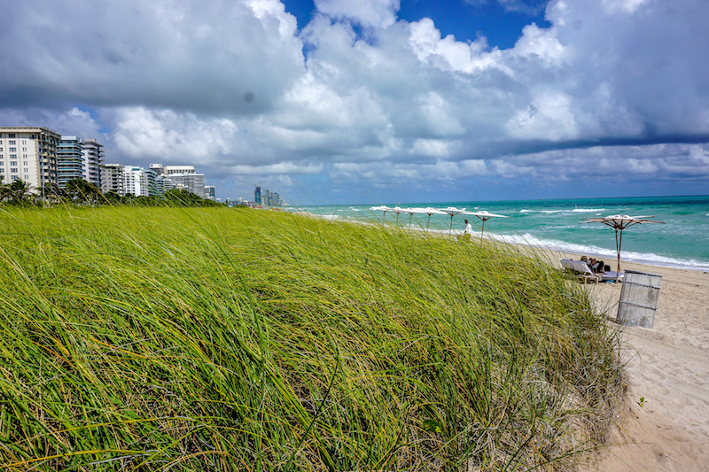 Four Seasons, The Surf Club beach image