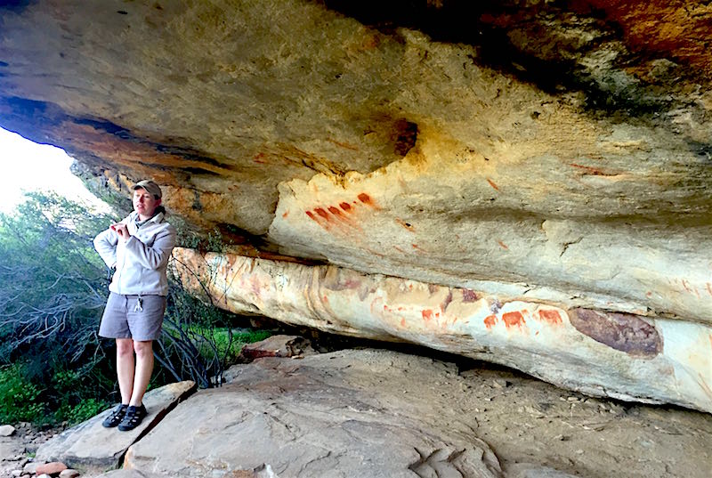 Bushmans Kloof rock art image