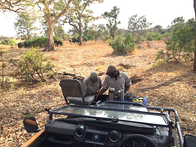 Singita Lebombo teatime in the bush image