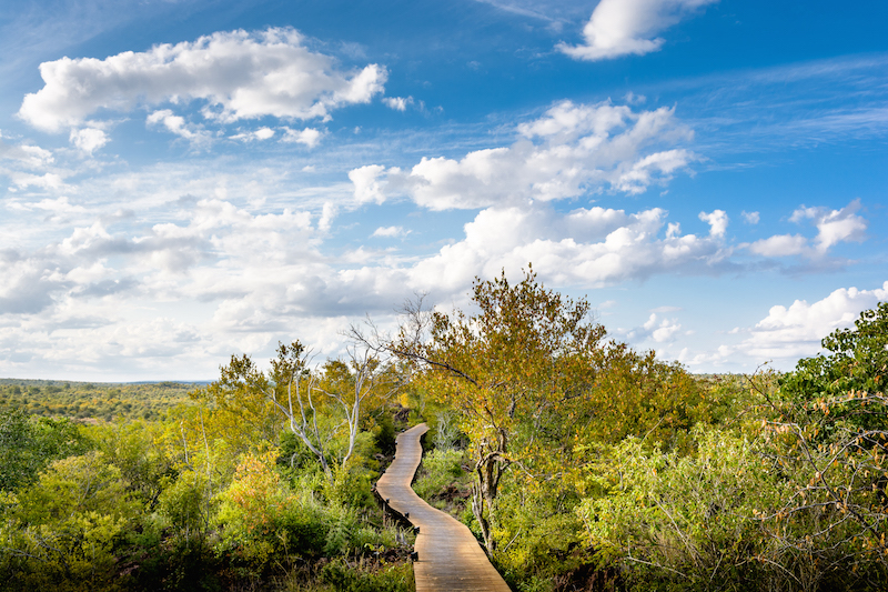 Singita Lebombo boardwalk image