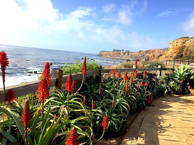 Terranea Resort image